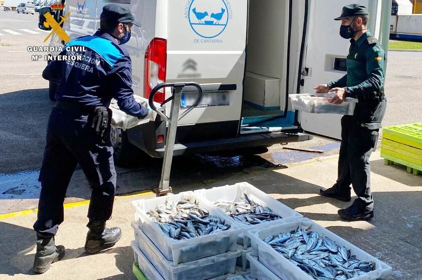 Pesca intervenida mientras se descargaba en Santander.