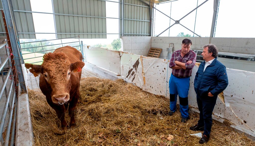 El consejero de Desarrollo Rural, Ganadería, Pesca y Alimentación, Pablo Palencia, visita la explotación ganadera 'Los Llanos', afectada por la enfermedad hemorrágica epizoótica.