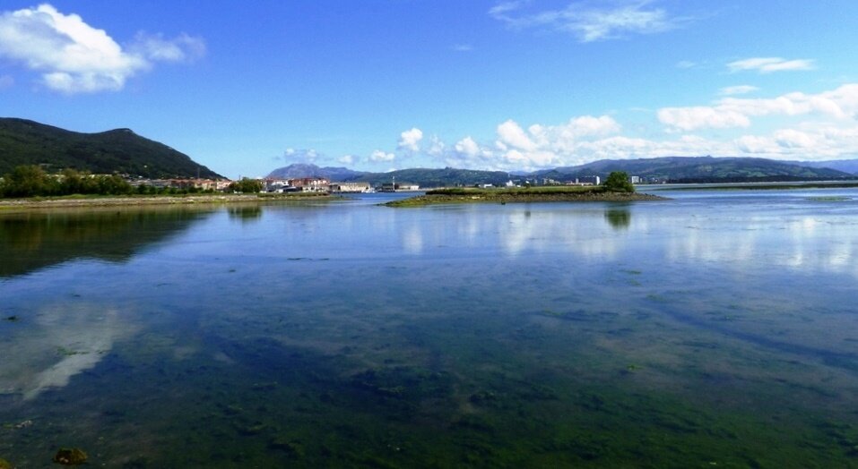 Marismas de Santoña. R.A.