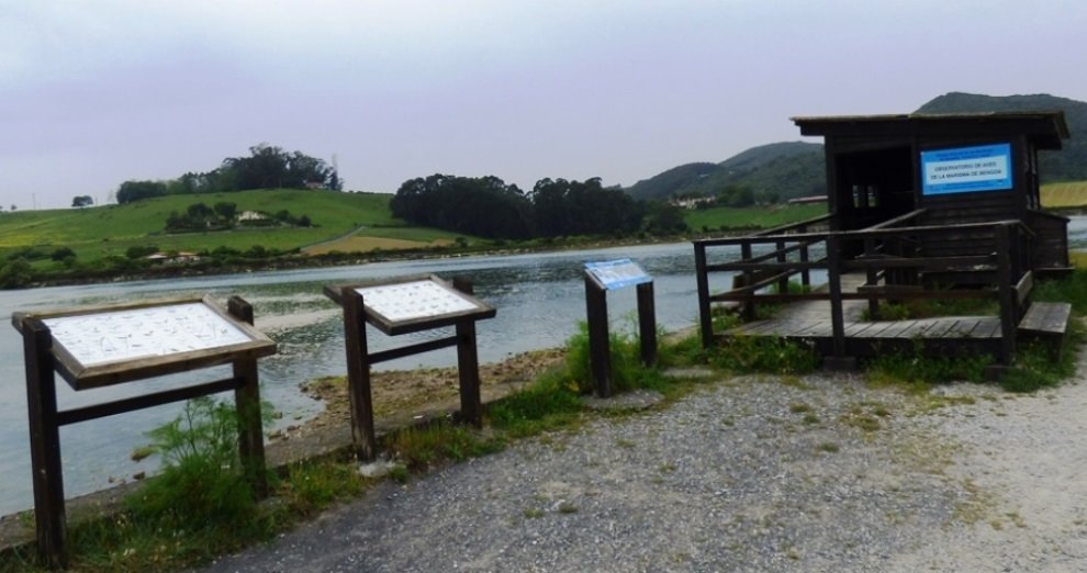 Marismas de Santoña. R.A.