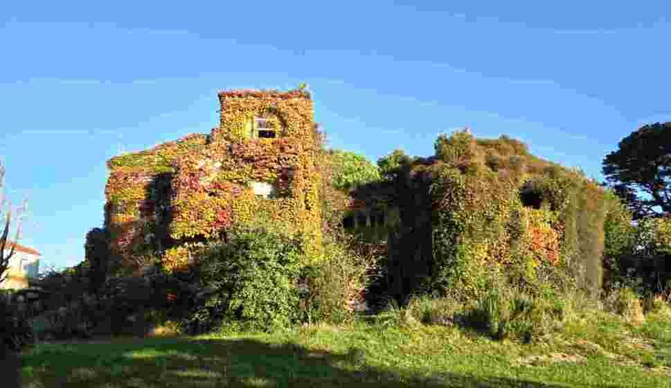 Casa Rosales en Santander.