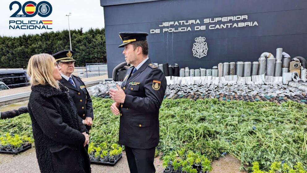 La Policía Nacional desmanteló las plantaciones.